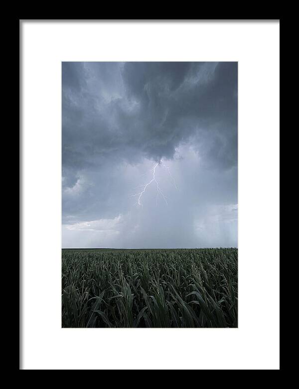 Summer Thunderstorm Over Corn Field