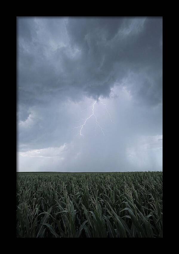 Summer Thunderstorm Over Corn Field