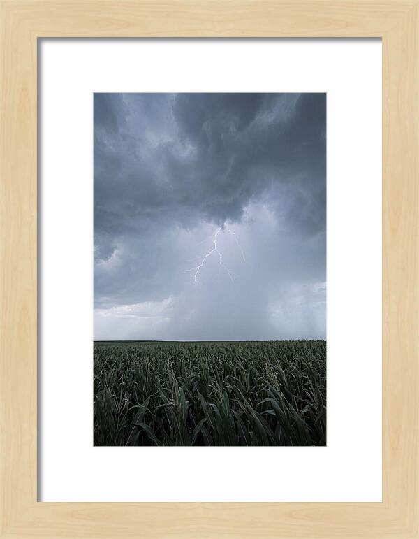 Summer Thunderstorm Over Corn Field