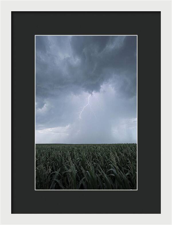 Summer Thunderstorm Over Corn Field