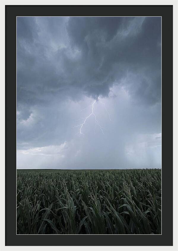 Summer Thunderstorm Over Corn Field