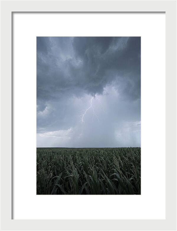 Summer Thunderstorm Over Corn Field