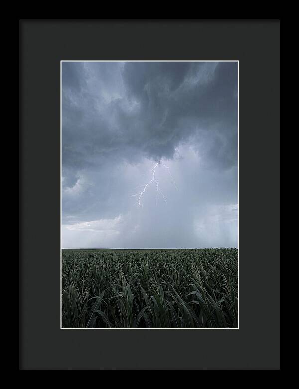 Summer Thunderstorm Over Corn Field