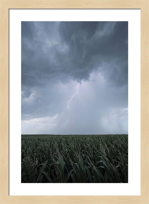 Summer Thunderstorm Over Corn Field