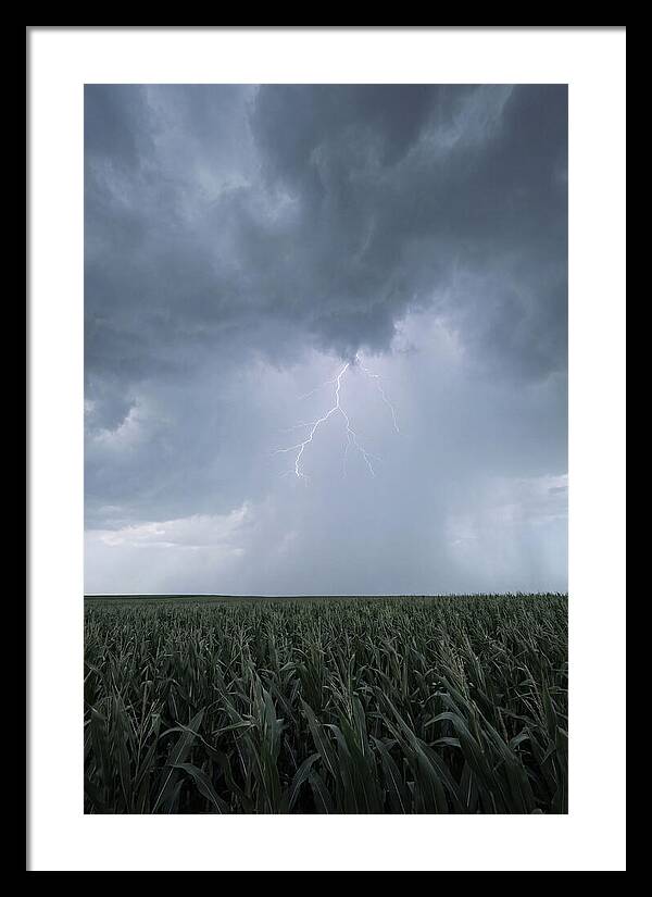 Summer Thunderstorm Over Corn Field