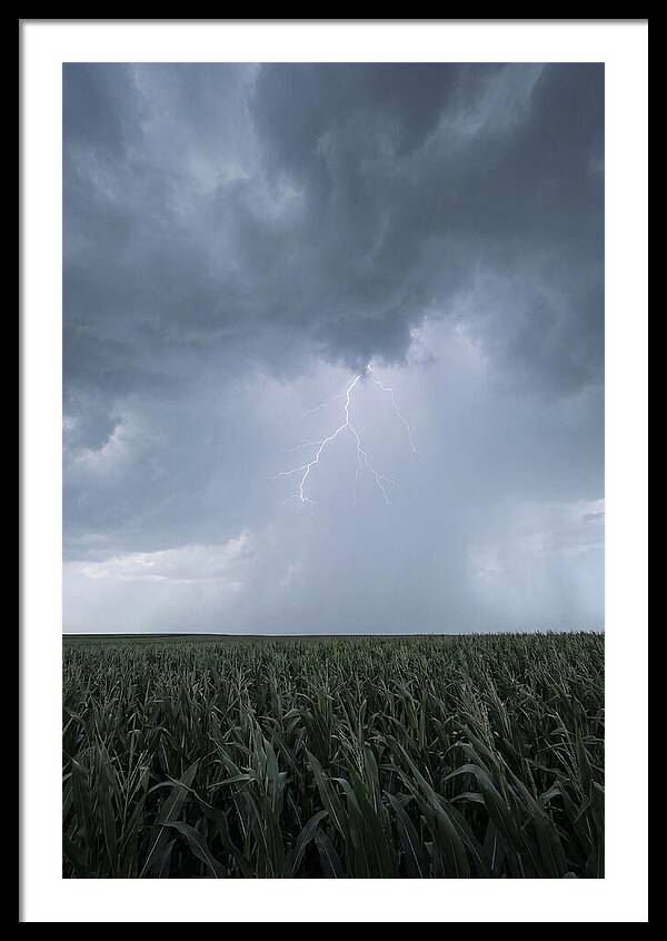 Summer Thunderstorm Over Corn Field