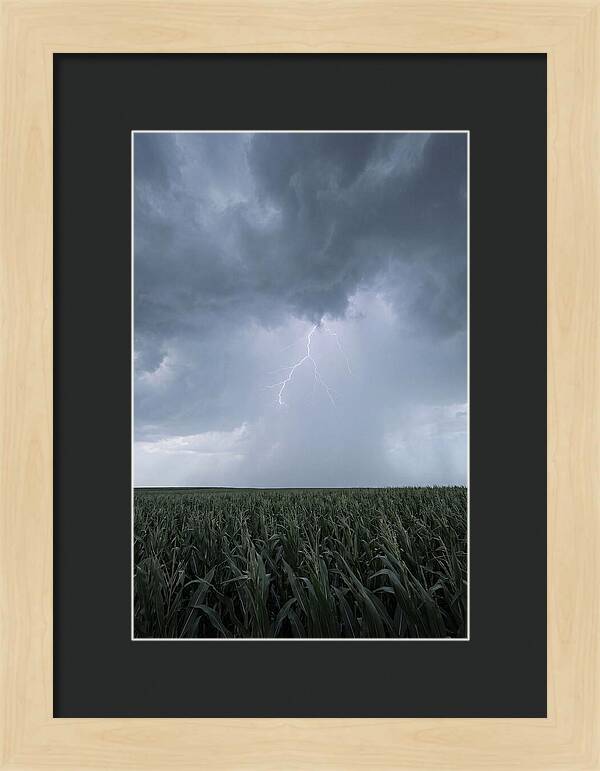 Summer Thunderstorm Over Corn Field