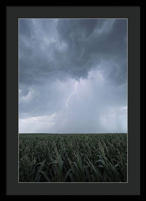 Summer Thunderstorm Over Corn Field