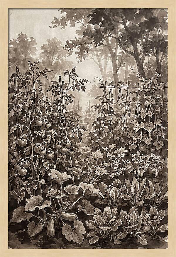 Summer Vegetable Garden At Peak Harvest