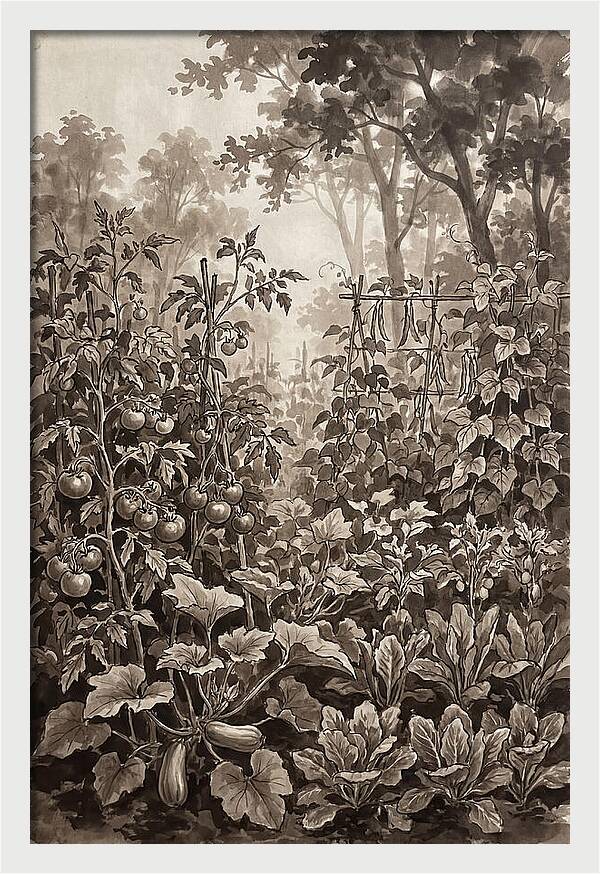 Summer Vegetable Garden At Peak Harvest