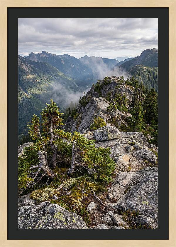 Summit Serenity In The Green Mountains