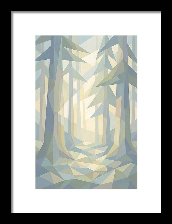 Sun Rays Through Old Growth Forest