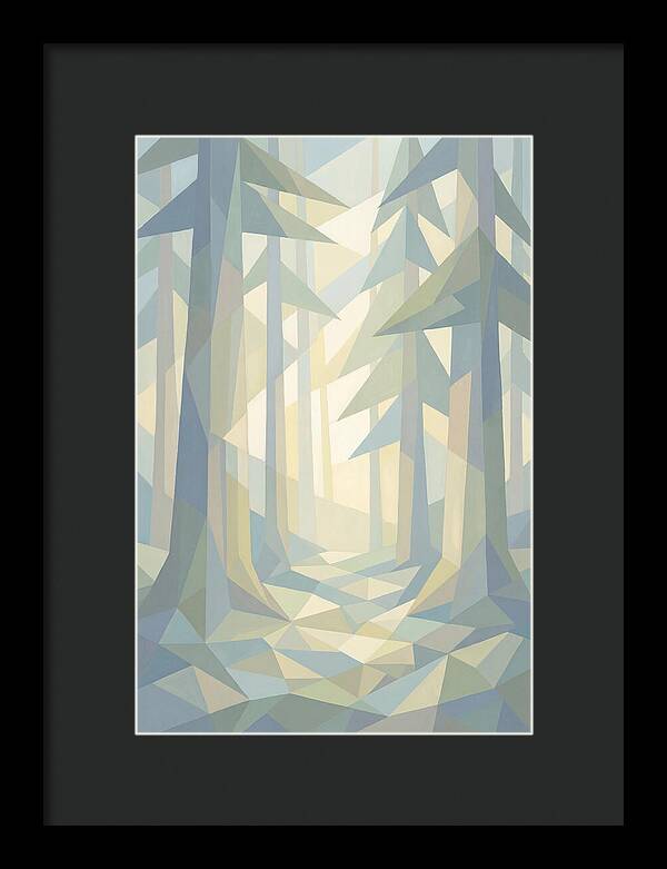 Sun Rays Through Old Growth Forest