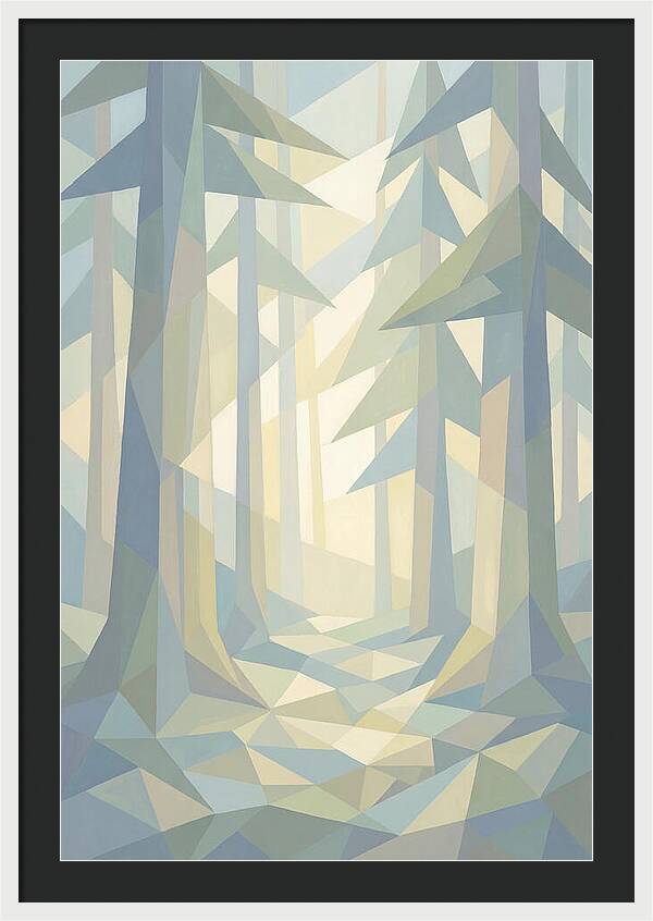 Sun Rays Through Old Growth Forest