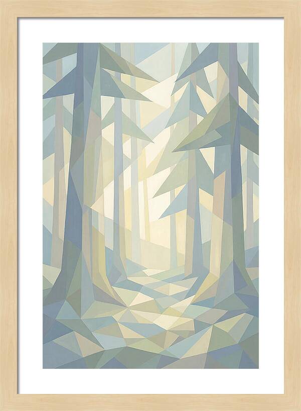 Sun Rays Through Old Growth Forest