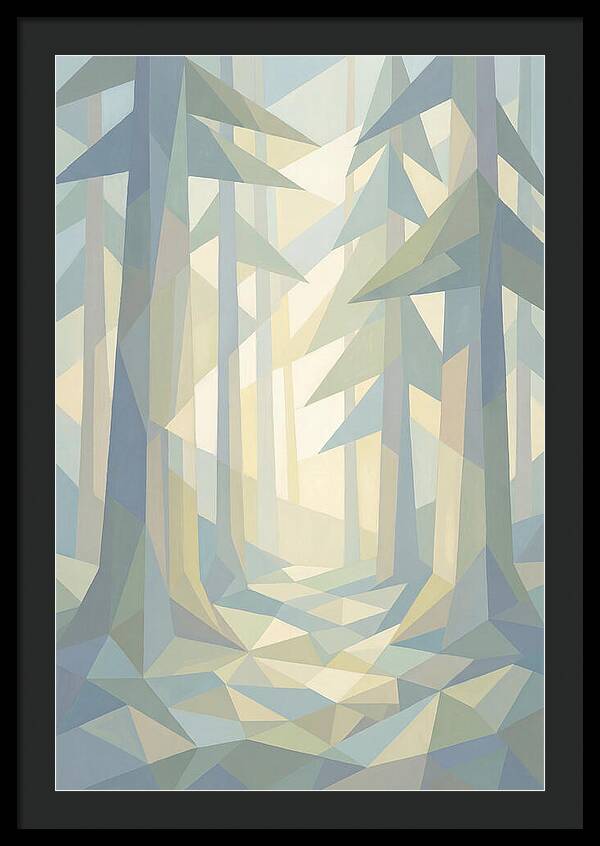 Sun Rays Through Old Growth Forest