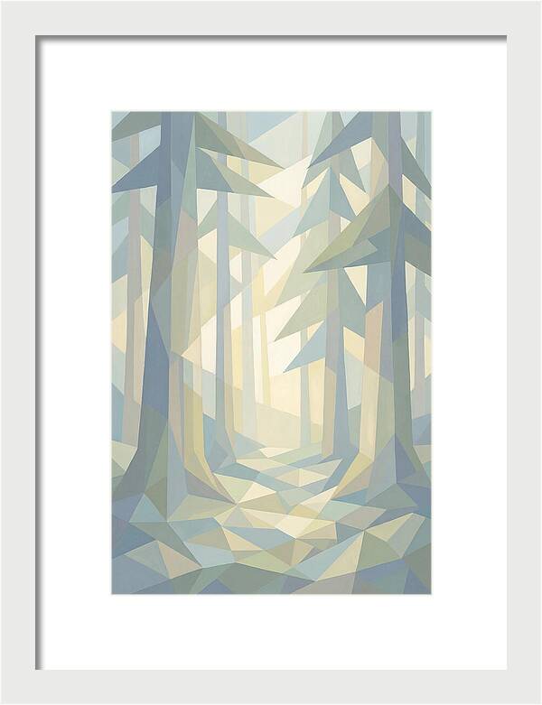 Sun Rays Through Old Growth Forest