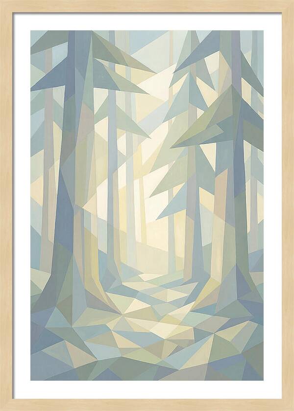Sun Rays Through Old Growth Forest