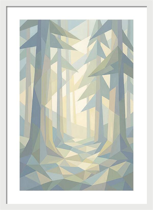 Sun Rays Through Old Growth Forest