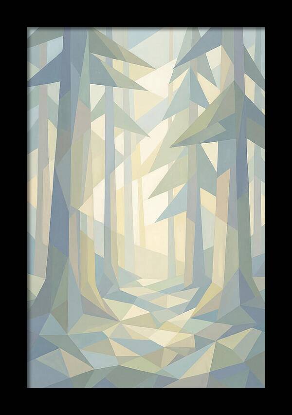 Sun Rays Through Old Growth Forest