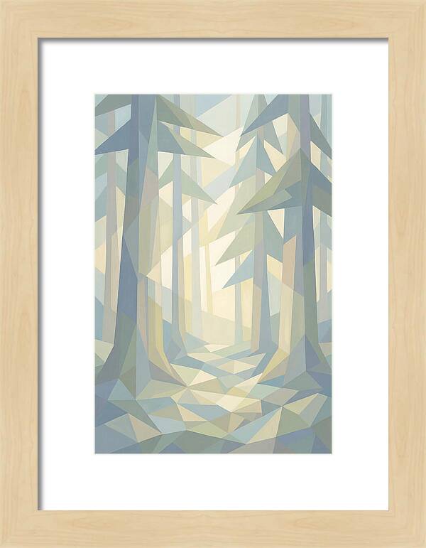 Sun Rays Through Old Growth Forest
