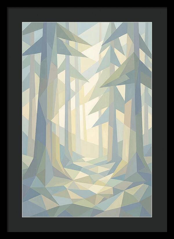 Sun Rays Through Old Growth Forest