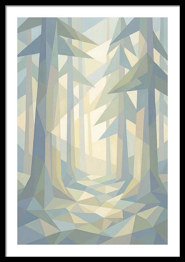 Sun Rays Through Old Growth Forest