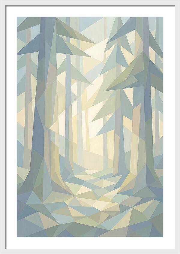 Sun Rays Through Old Growth Forest