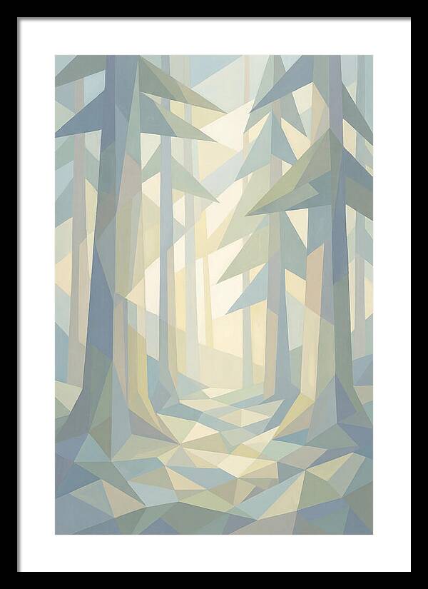 Sun Rays Through Old Growth Forest