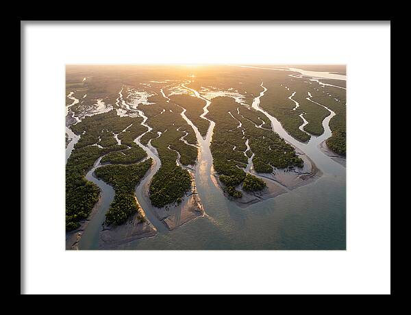 Sundarbans From Above