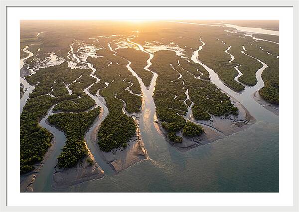 Sundarbans From Above