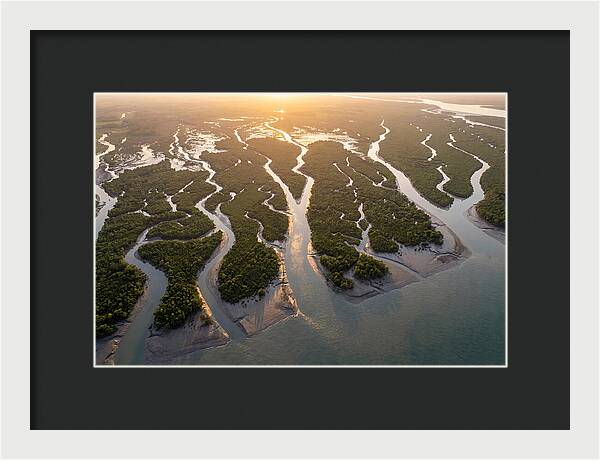 Sundarbans From Above