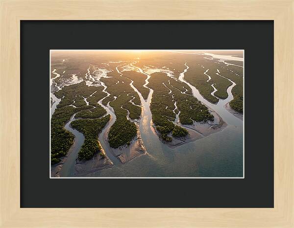 Sundarbans From Above