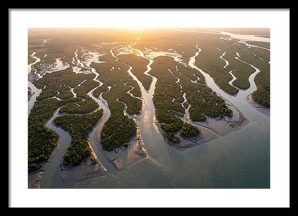 Sundarbans From Above