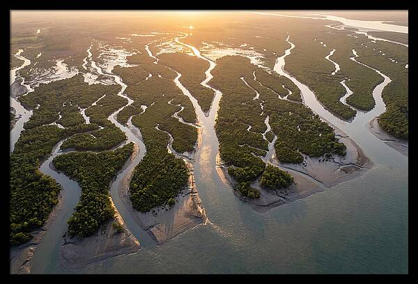 Sundarbans From Above
