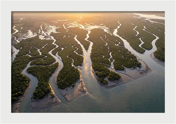 Sundarbans From Above