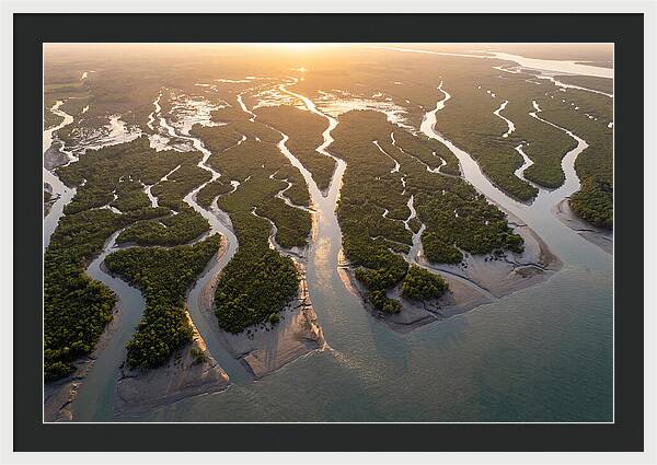 Sundarbans From Above
