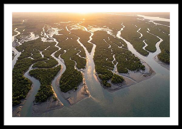 Sundarbans From Above