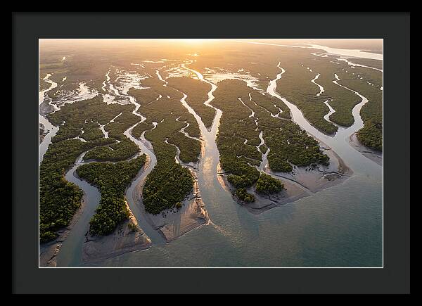 Sundarbans From Above
