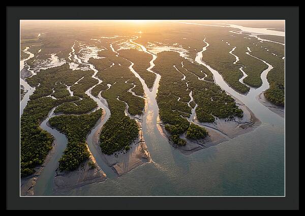 Sundarbans From Above