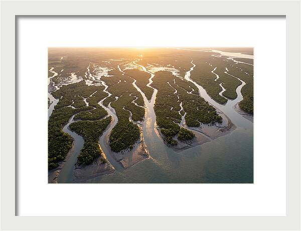 Sundarbans From Above