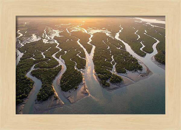 Sundarbans From Above