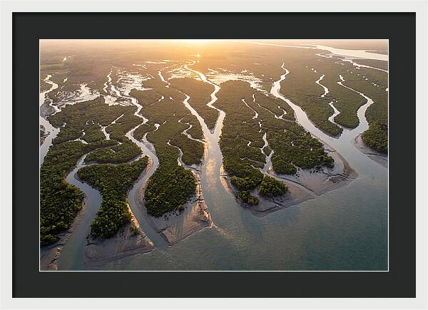Sundarbans From Above