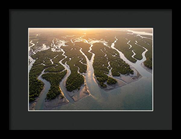 Sundarbans From Above
