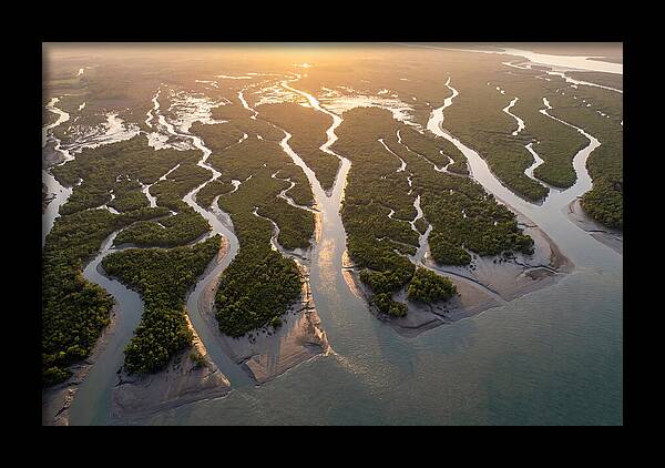 Sundarbans From Above