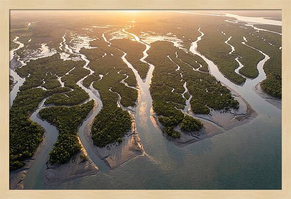 Sundarbans From Above