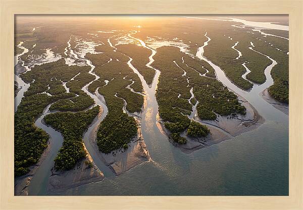Sundarbans From Above