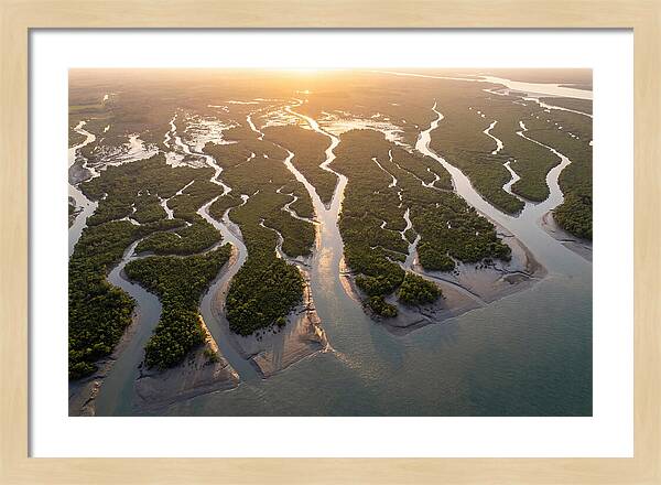 Sundarbans From Above
