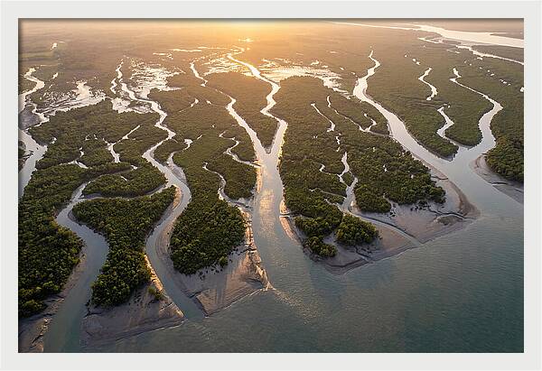 Sundarbans From Above