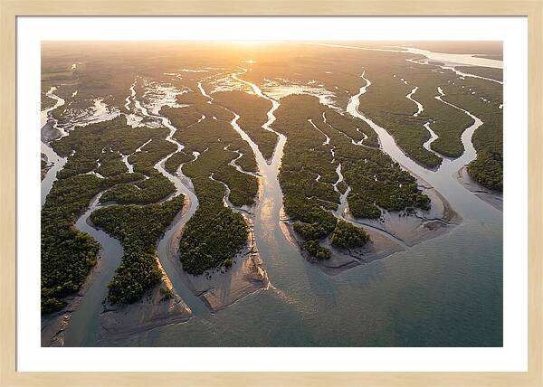 Sundarbans From Above
